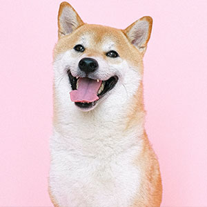 woof
